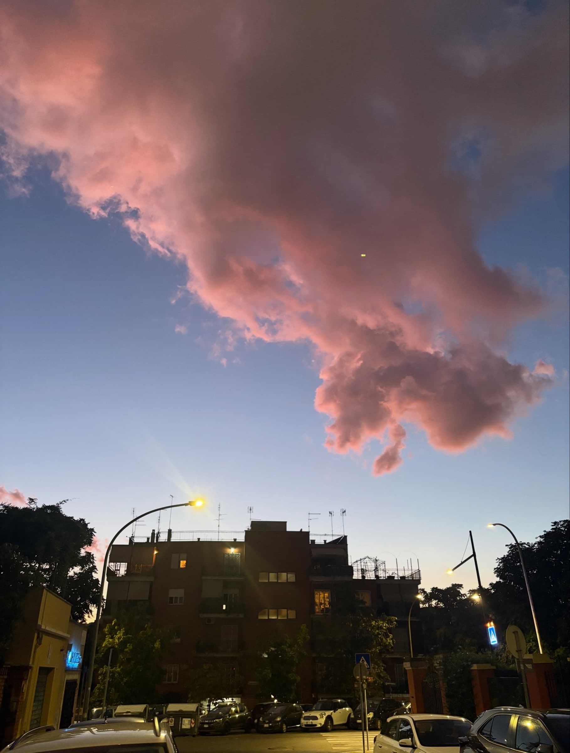 A pink cloud over rooftops at dusk