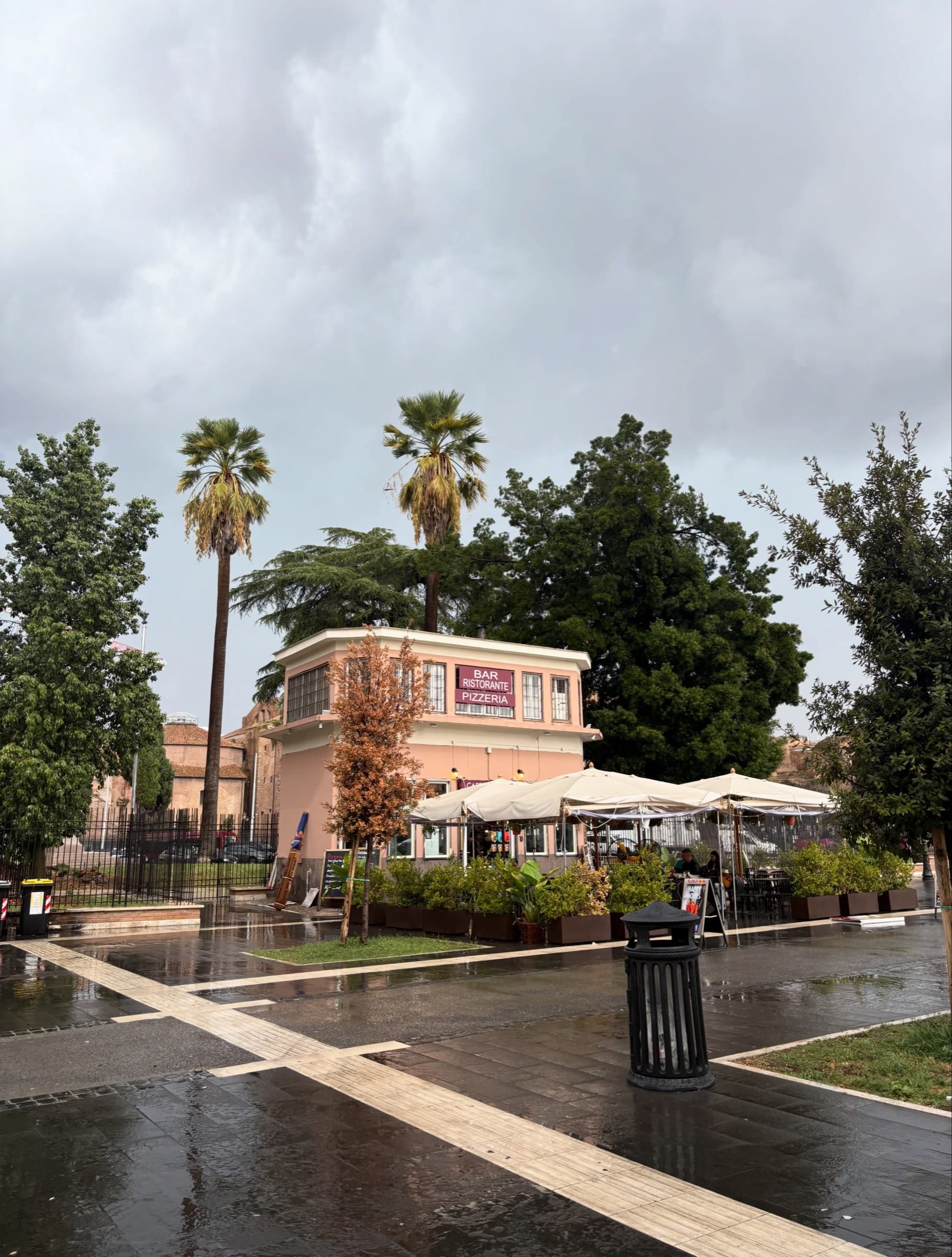 Palm trees and a wet plaza after rain