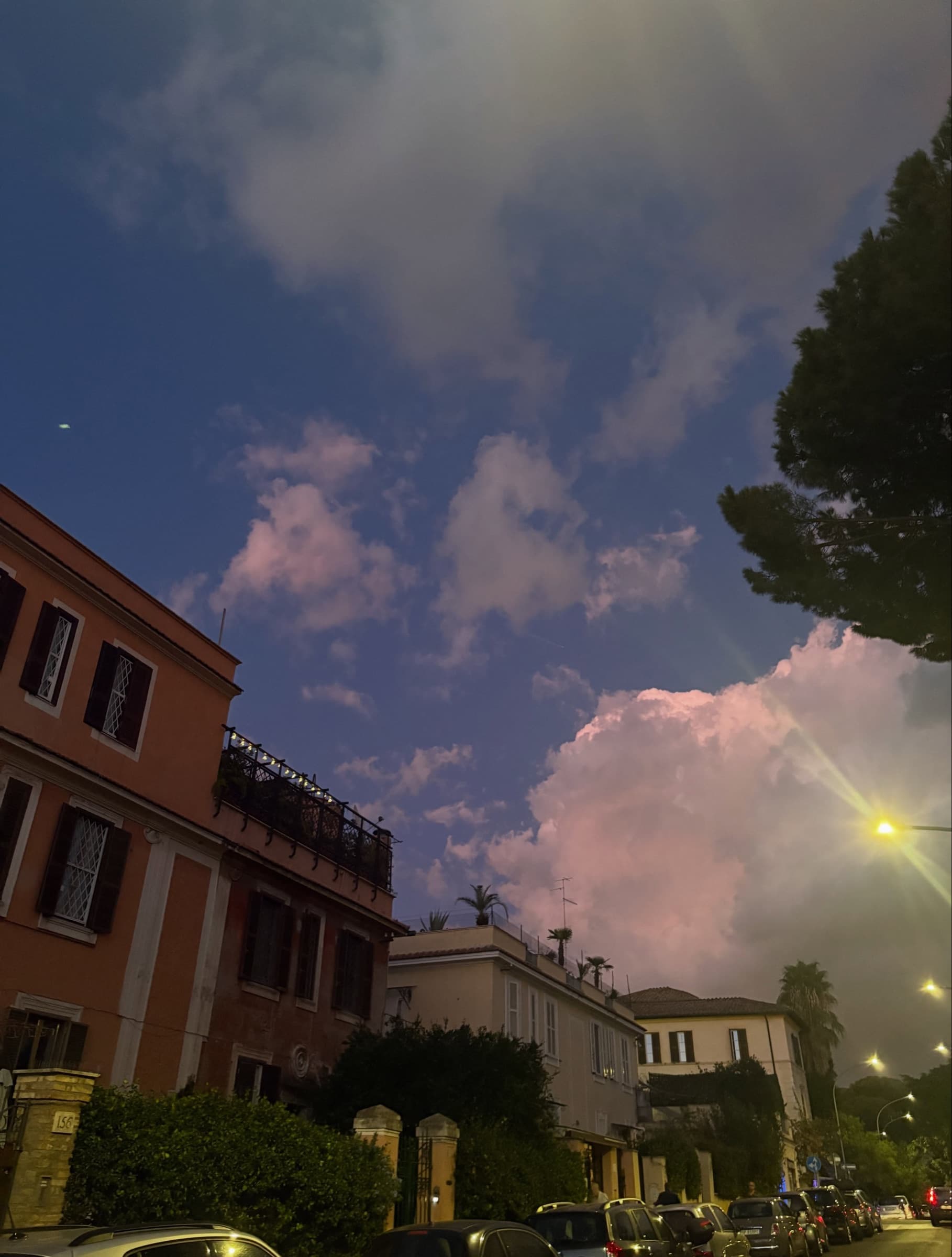 Pink evening clouds over buildings and trees