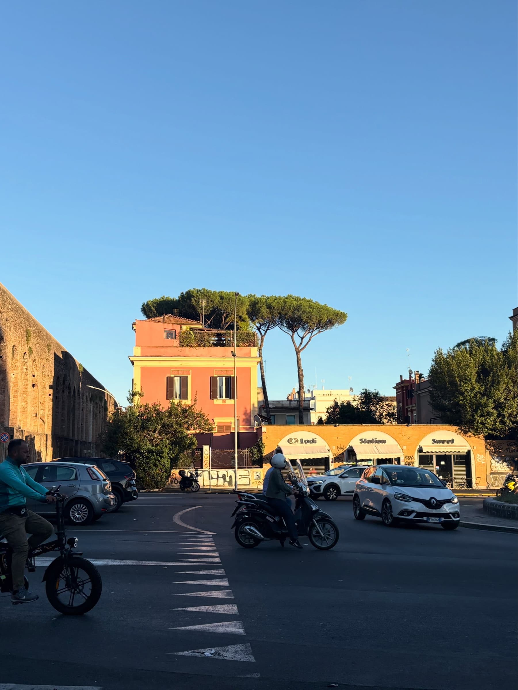 Umbrella pines above a busy road with scooters