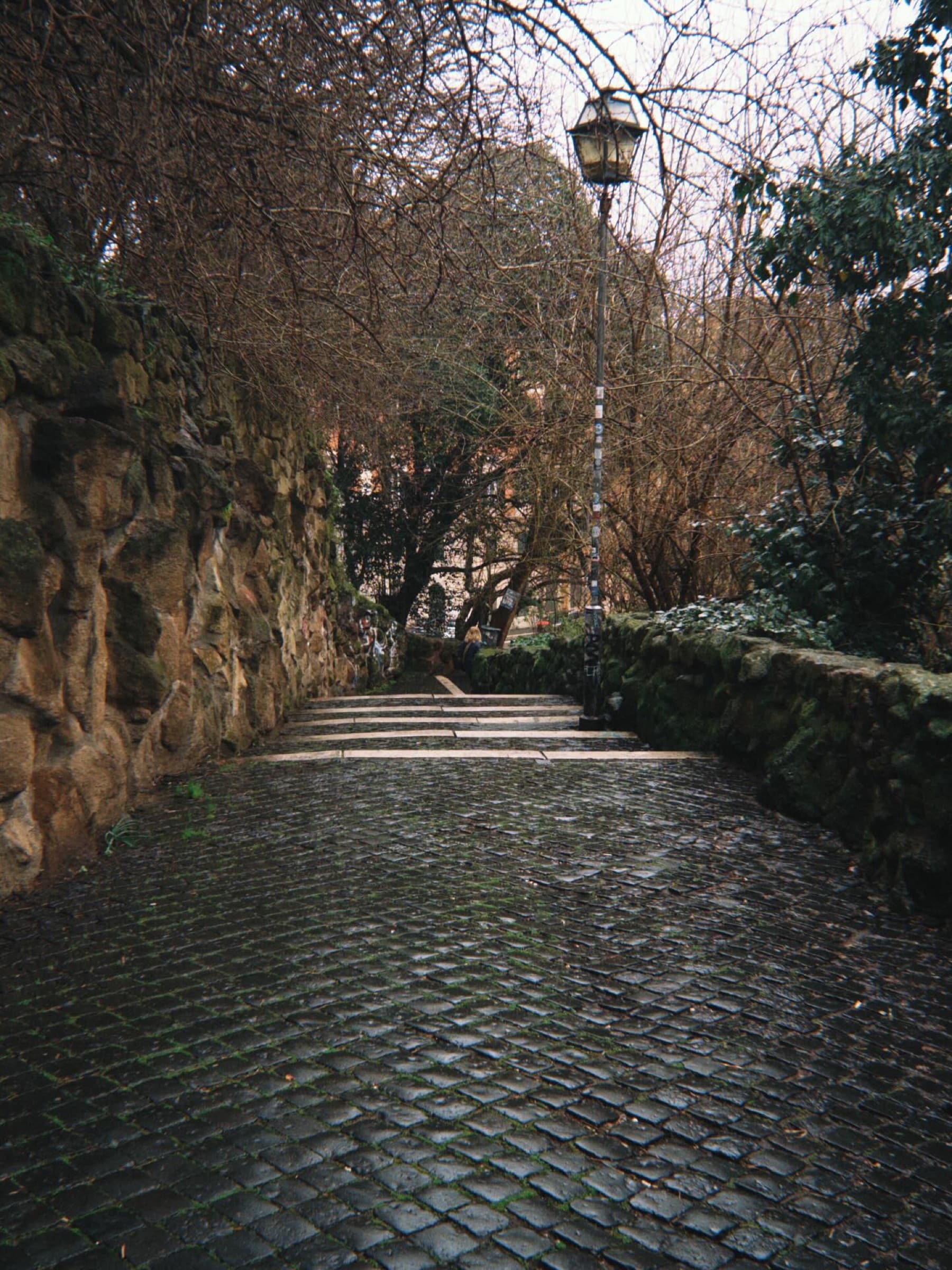 A cobbled lane under bare trees