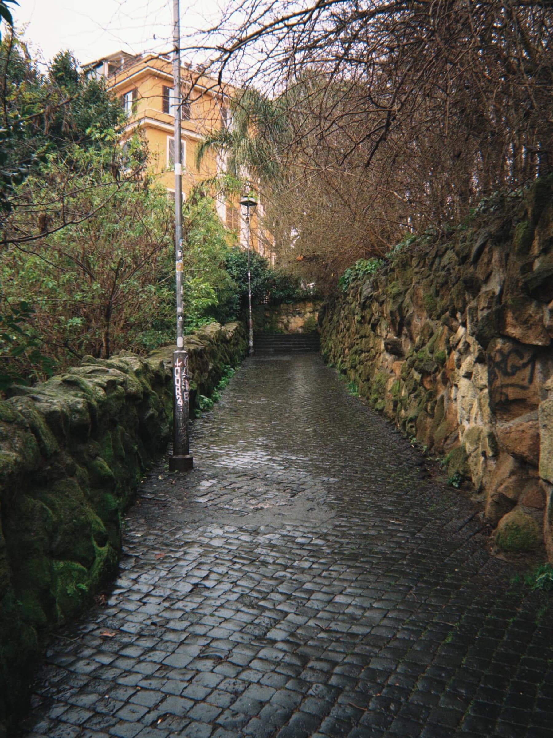 A stone path through a green garden